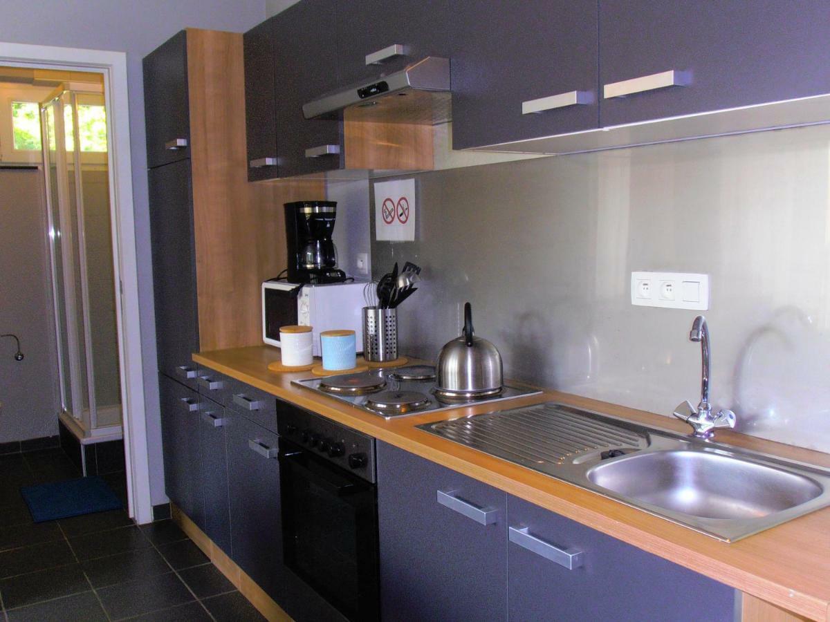 Studio Le Vedeur Avec Balcon Vue Sur Riviere Durbuy Exterior photo